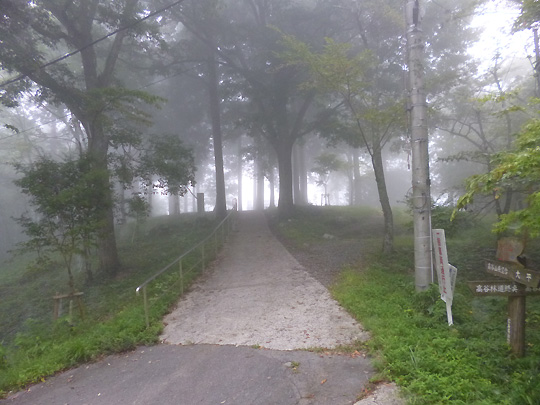 高谷山霧の海展望台への道