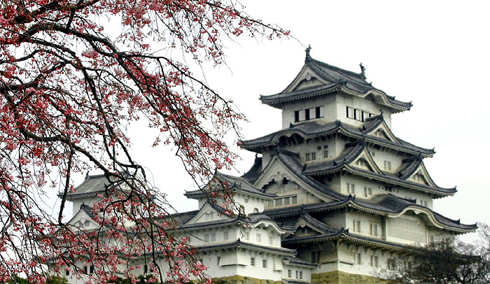 西の丸の桜と姫路城
