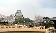 Sakura Mon bridge