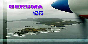 慶留間(ゲルマ)島ダイビングの旅の外地島上空の写真