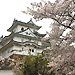 Himeji Castle. cherry and The Inui Small Tower