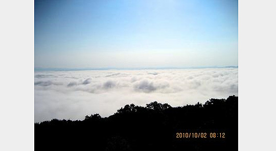 三次の霧の海写真
