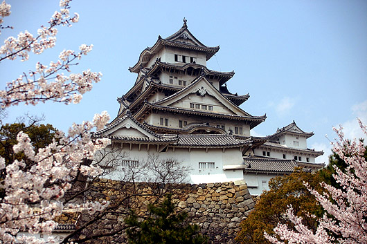 桜咲く東側よりの姫路城