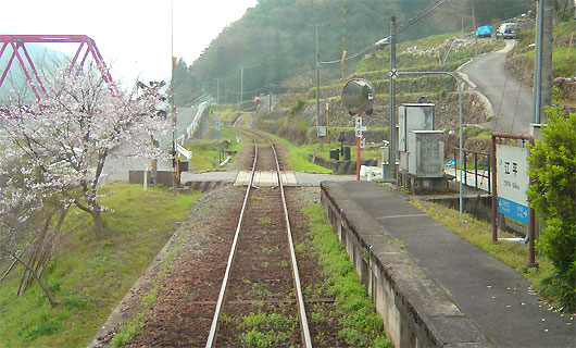 三江線江平駅の桜