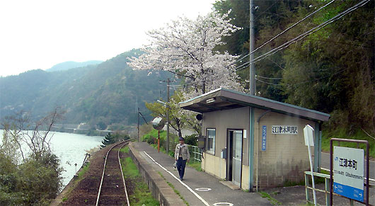 江津本町駅の桜
