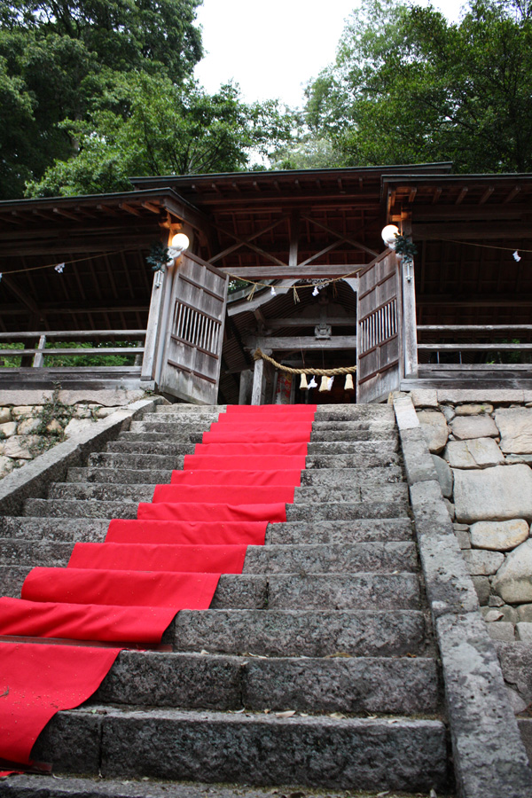 加茂神社本殿に登る階段に緋毛氈