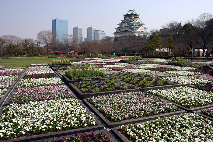 花壇と大阪城