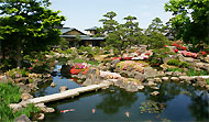 由志園の池
